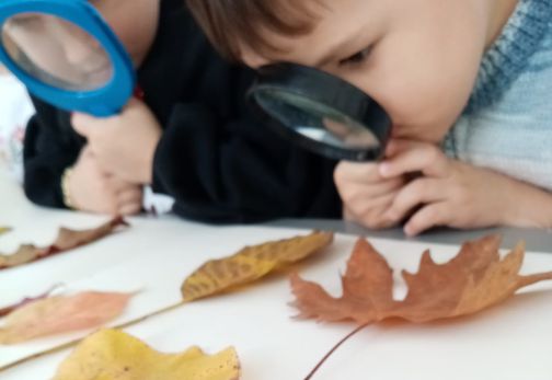 Eğitim Modeli Geliştirme